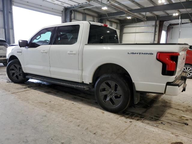  FORD F150 LIGHT 2023 White