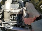 Colton, CA에서 판매 중인 2018 International Rh613 Semi Truck - Normal Wear