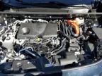 2024 Toyota Rav4 Prime Se en Venta en Marlboro, NY - Front End