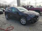 2023 Ford Escape Active en Venta en Wayland, MI - Rollover