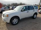 2010 Ford Escape Xls zu verkaufen in Chalfont, PA - Front End