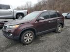 2011 Kia Sorento Base na sprzedaż w Marlboro, NY - Front End