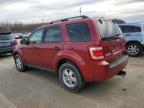 2011 Ford Escape Xlt for Sale in Louisville, KY - Top/Roof