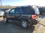 2011 Ford Escape Limited zu verkaufen in Louisville, KY - Front End