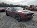 Memphis, TN에서 판매 중인 2021 Dodge Challenger Sxt - Water/Flood