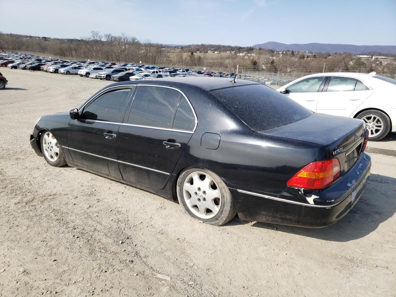 2003 Lexus LS - Image 2