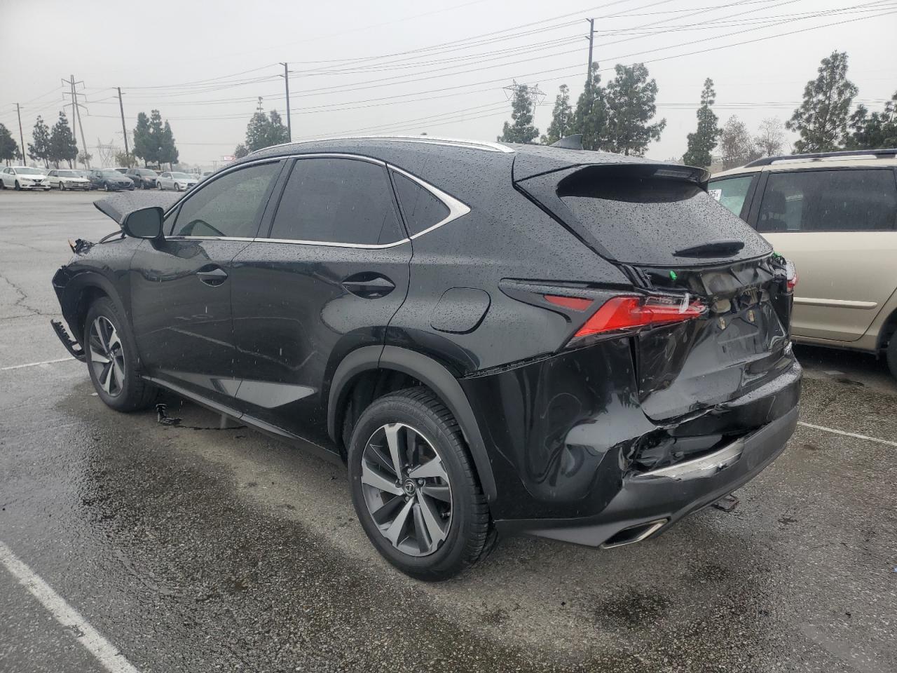 2019 Lexus NX - Image 2