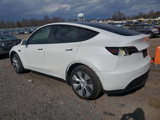  TESLA MODEL Y 2023 White