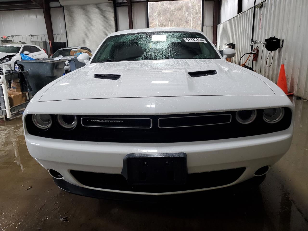 2019 Dodge Challenger - Image 5