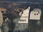 2020 Big Tex Dump Trailer na sprzedaż w Madisonville, TN - All Over