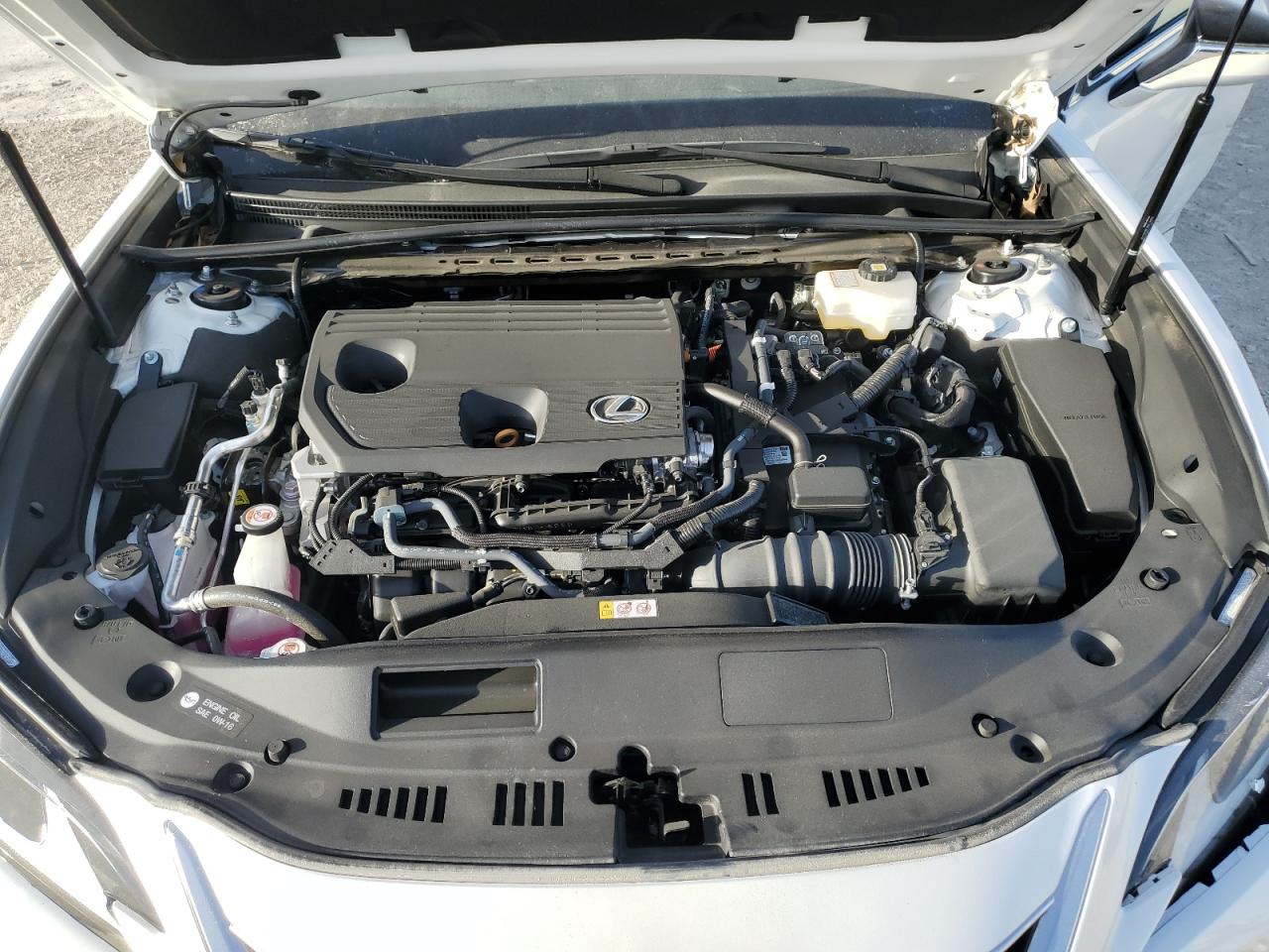 2024 Lexus ES - Image 12
