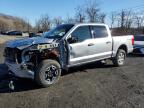 2023 Ford F150 Lightning Pro for Sale in Marlboro, NY - All Over