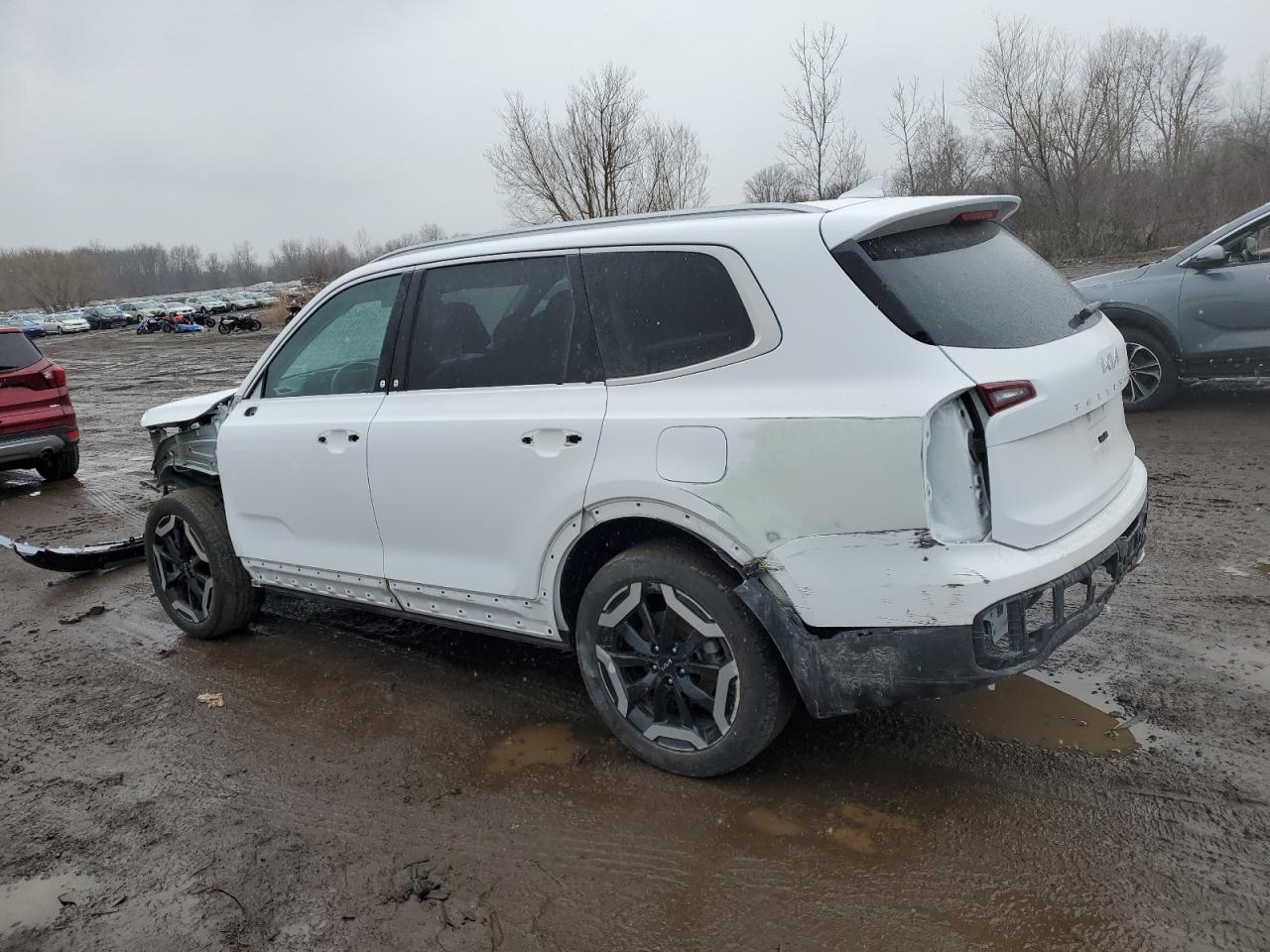 2023 Kia Telluride - Image 2