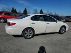 2006 Lexus Es 330 en Venta en Eugene, OR - Front End