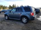 2011 Ford Escape Limited продається в Graham, WA - Front End