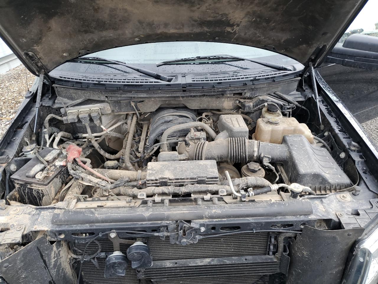 2010 Ford F-150 - Image 11