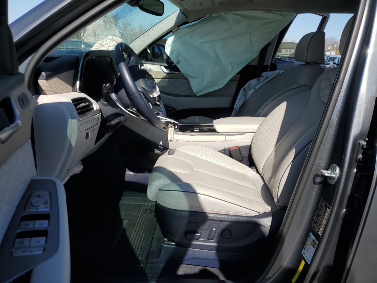 2022 Hyundai Palisade Calligraphy VIN: KM8R7DHE6NU392875 Lot: 48291705