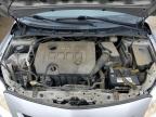 2009 Toyota Corolla Base de vânzare în Louisville, KY - Hail