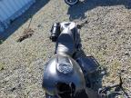 2023 Indian Motorcycle Co. Scout Rogue Abs na sprzedaż w Antelope, CA - All Over