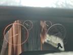 2017 Toyota Tundra Crewmax Sr5 на продаже в Gaston, SC - All Over