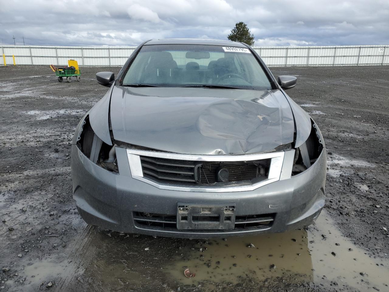 2010 Honda Accord - Image 5
