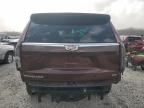 2023 Cadillac Escalade Esv Premium Luxury en Venta en Memphis, TN - Front End