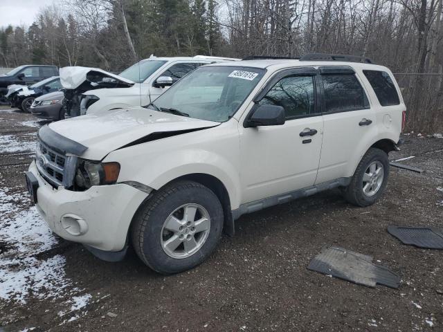 2010 Ford Escape