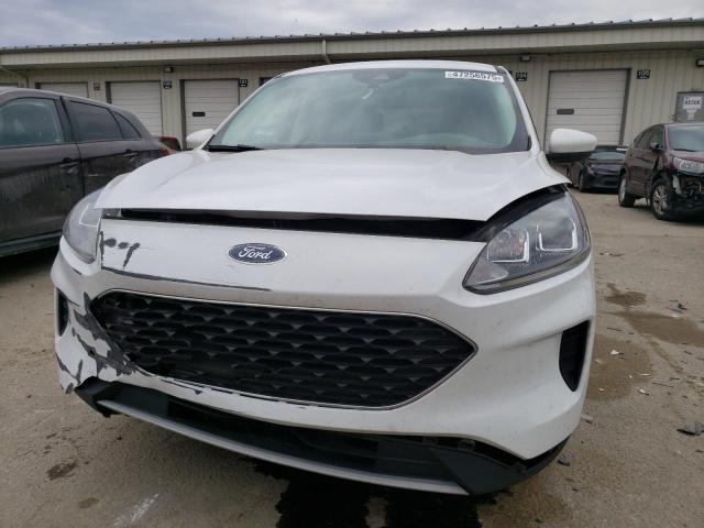  FORD ESCAPE 2021 White