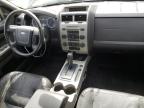 2010 Ford Escape Xlt en Venta en Pekin, IL - Front End