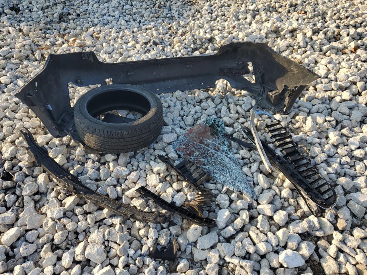 Фото: 3MW5R7J06L8B26955