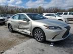 2019 Lexus Es 350 for Sale in Oklahoma City, OK - Side