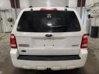 2009 Ford Escape Xlt იყიდება Ham Lake-ში, MN - Front End