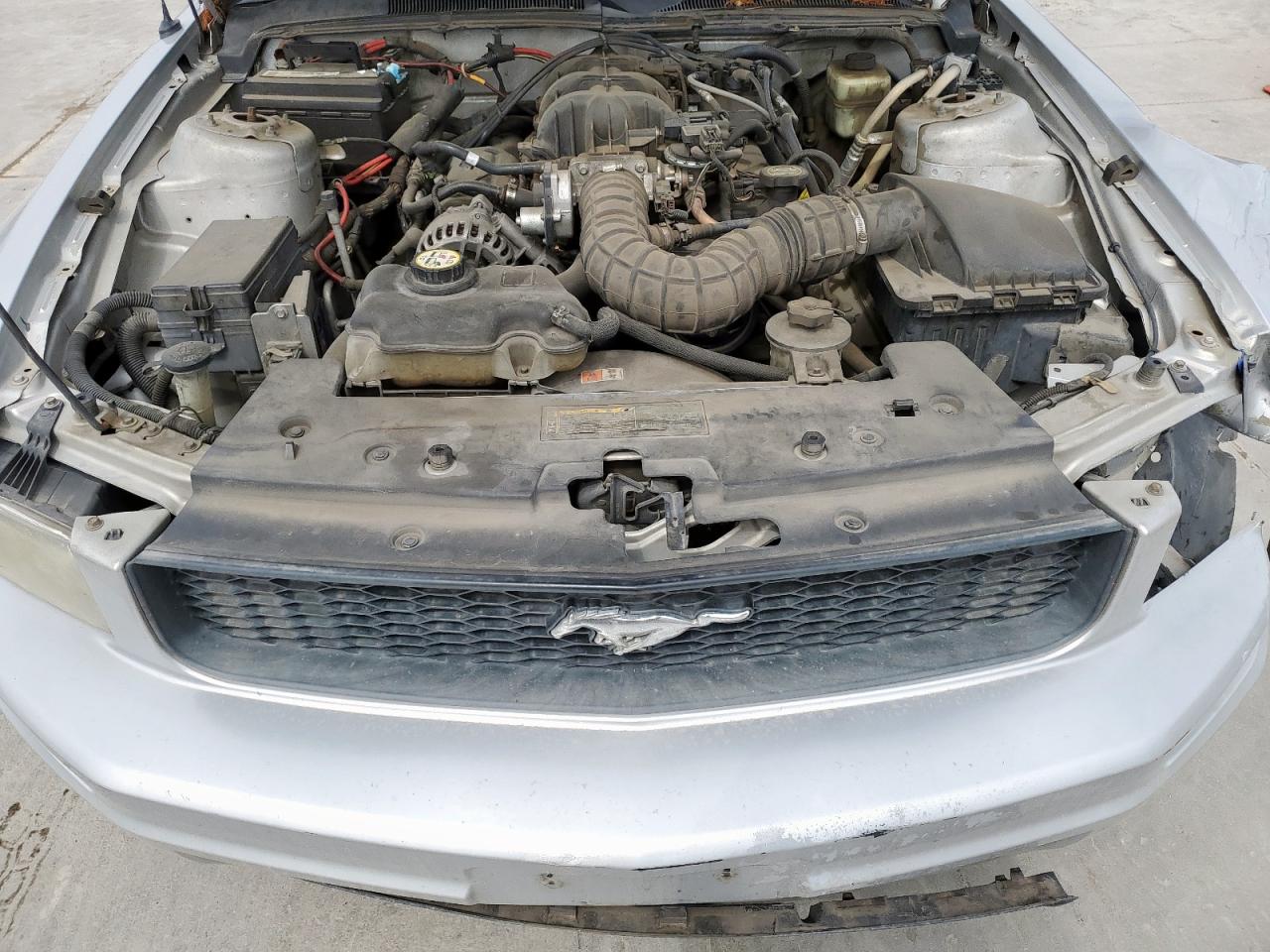 2007 Ford Mustang VIN: 1ZVFT80N975201837 Lot: 49052285