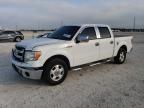 2013 Ford F150 Supercrew იყიდება New Braunfels-ში, TX - Front End