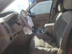 2008 Ford Escape Xlt for Sale in New Braunfels, TX - Front End