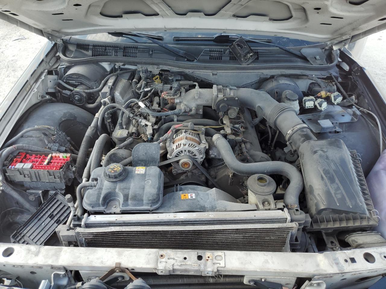 2011 Ford Crown Victoria Police Interceptor VIN: 2FABP7BV1BX171565 Lot: 61399504