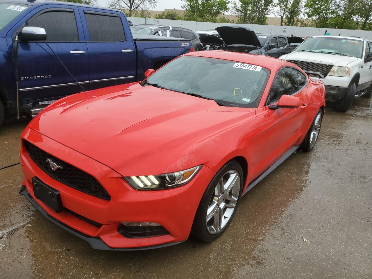 1FA6P8AM5H5250229 2017 Ford Mustang