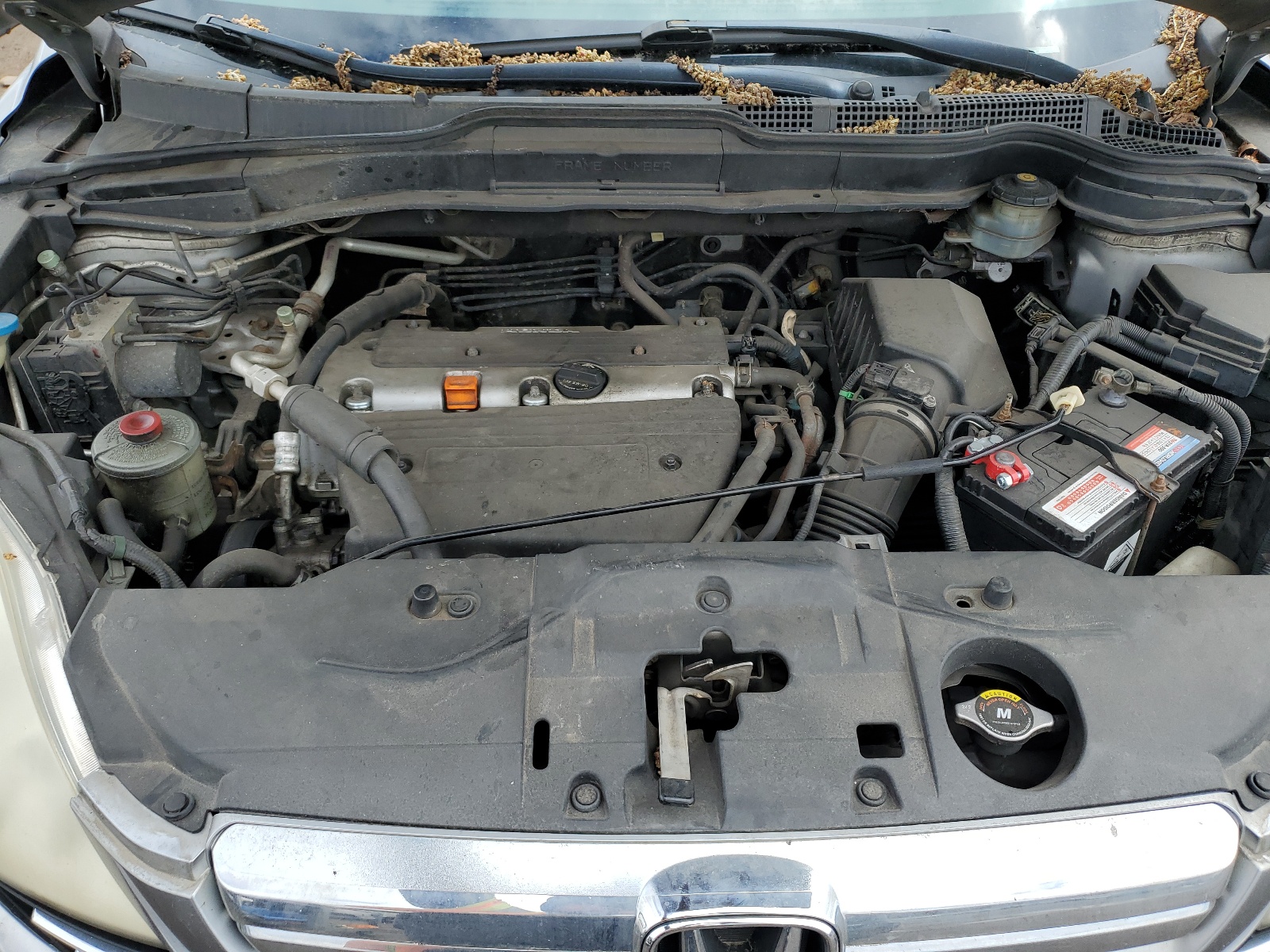 JHLRE48527C077142 2007 Honda Cr-V Ex