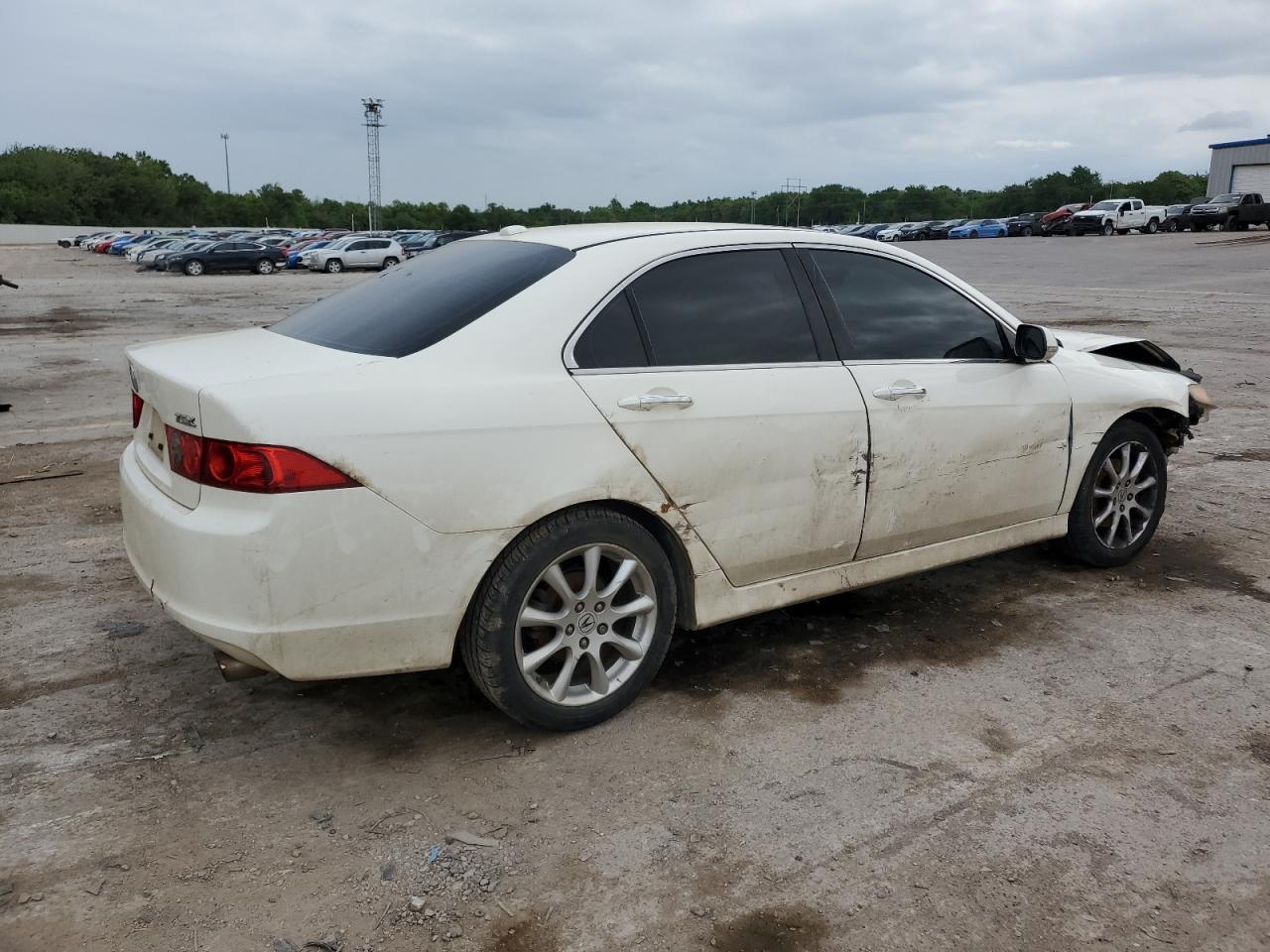 2008 Acura Tsx VIN: JH4CL96858C009081 Lot: 52204084