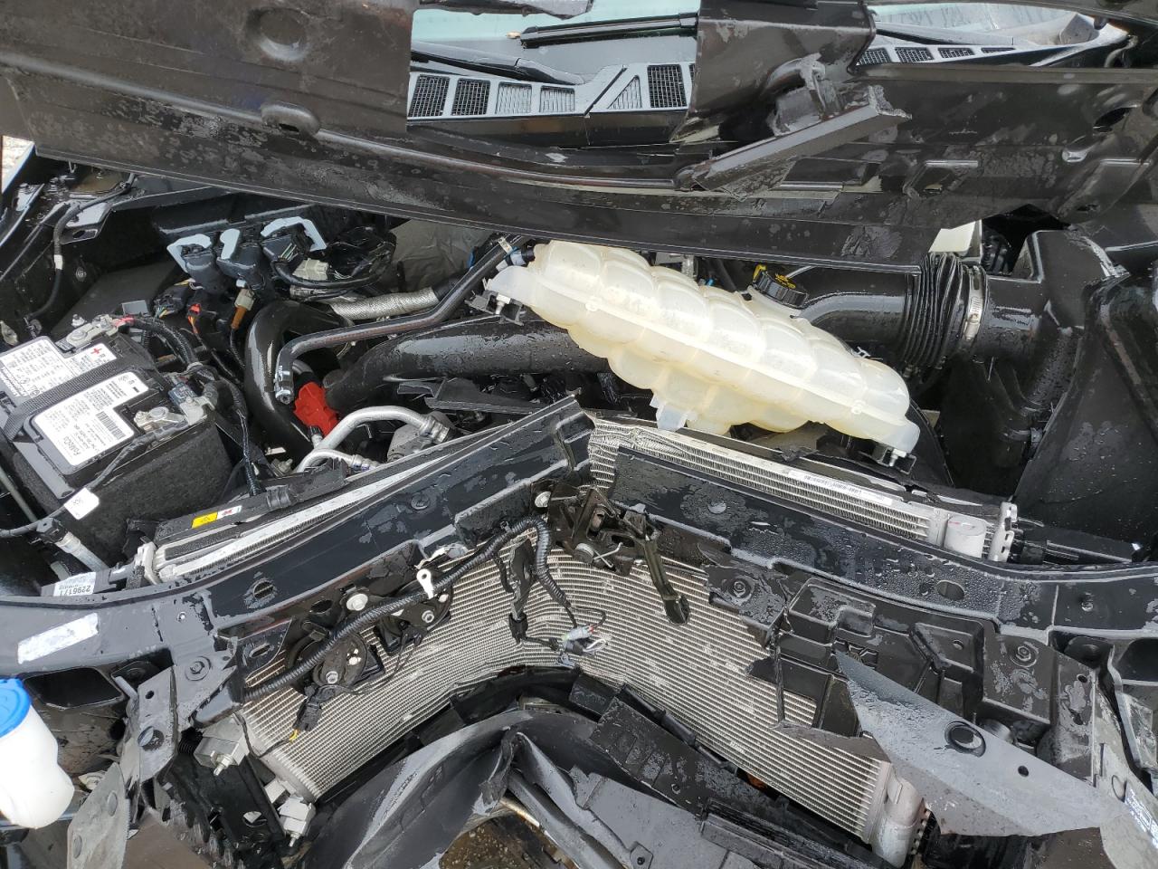 1FTEW1EP1PKF05334 FORD F-150 2023