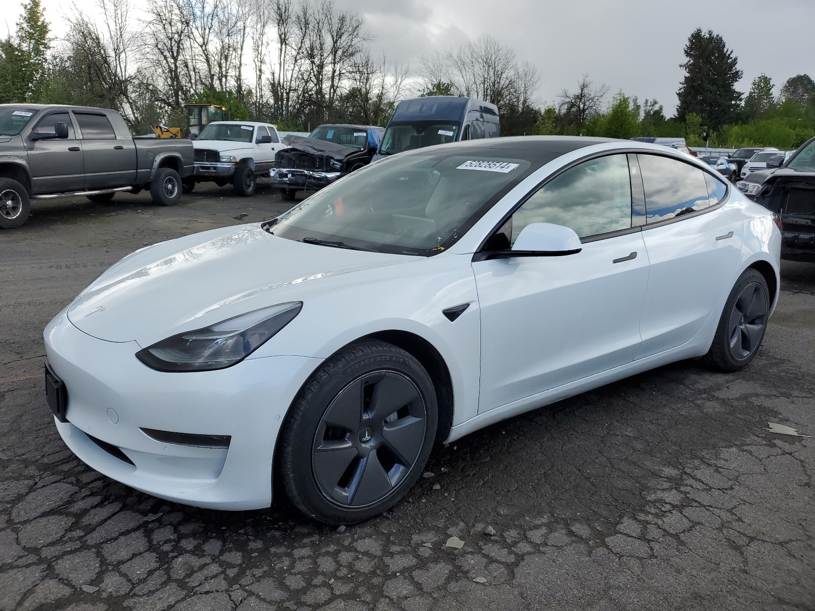 2021 Tesla Model 3 vin: 5YJ3E1EA1MF093527