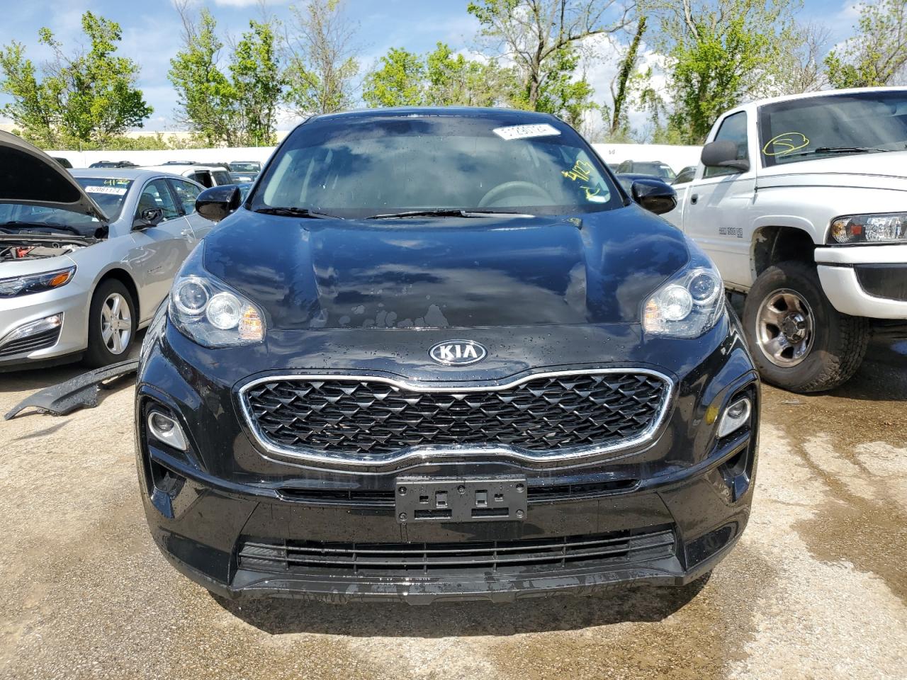 2022 Kia Sportage Lx VIN: KNDPM3AC4N7998164 Lot: 51290724