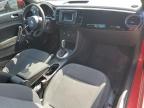 2019 Volkswagen Beetle S for Sale in Bridgeton, MO - Hail