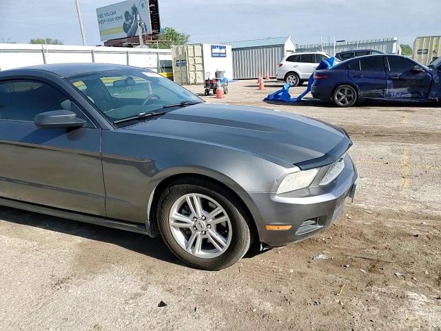 2011 Ford Mustang VIN: 1ZVBP8AM7B5131529 Lot: 51664784