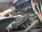 2020 Freightliner Cascadia 126  for Sale in Memphis, TN - Side
