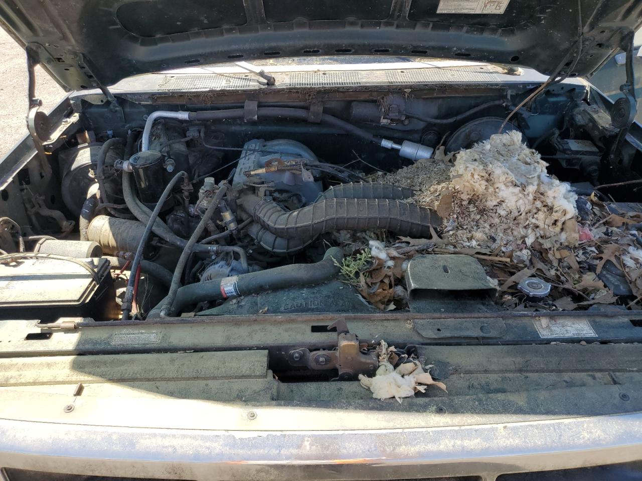 1993 Ford F150 VIN: 1FTEX15N8PKB44342 Lot: 49757904