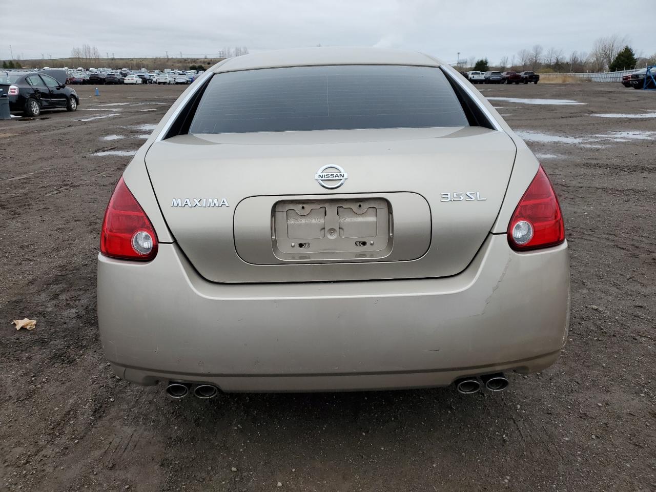 2004 Nissan Maxima Se VIN: 1N4BA41E64C924122 Lot: 52820844