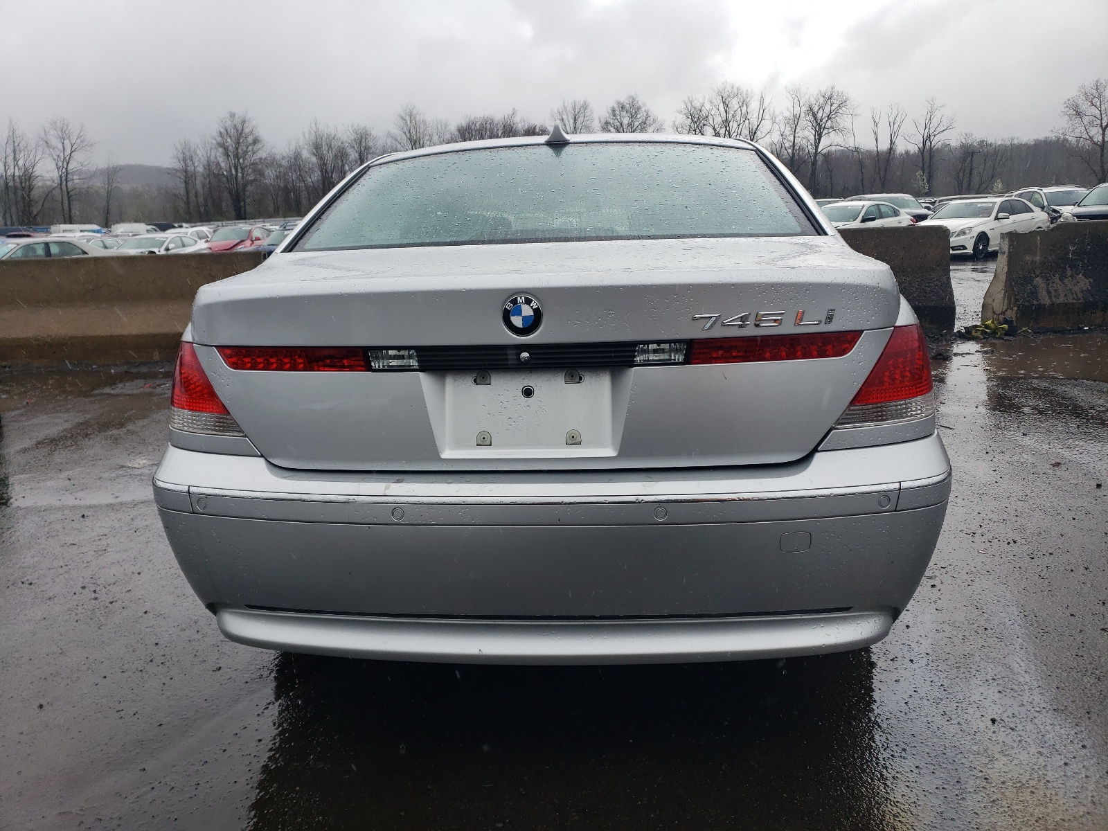 WBAGN63433DR17025 2003 BMW 745 Li