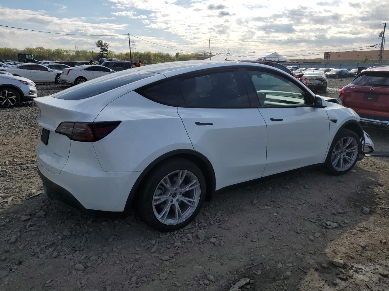 2023 Tesla Model Y VIN: 7SAYGDEE3PA099824 Lot: 52473254