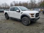 2020 Ford F150 Raptor na sprzedaż w Windsor, NJ - All Over
